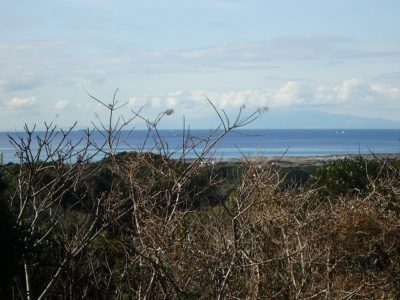 海 遠 望 売 地 館山市佐野 8891.39㎡(2689.64坪) 3500 サムネイル画像1