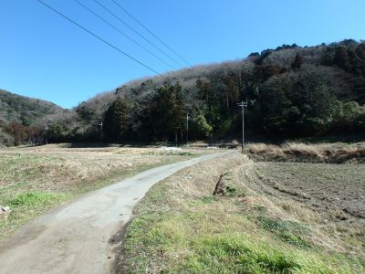 売 山 林 君津市大井 34947㎡(10571坪) 2500 サムネイル画像1