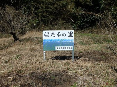 売 山 林 君津市大井 34947㎡(10571坪) ご成約済み サムネイル画像2