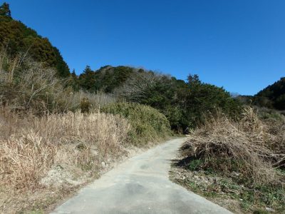 売 山 林 南房総市富浦町大津 4127.59㎡(1248.59坪) 580 サムネイル画像1