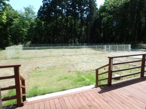 南房総で愛犬と遊ぶ-大型ドッグラン別荘-緑の自然に囲まれた隠れ家