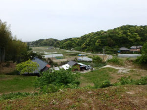 所有の山林上段からの見晴らしは最高！