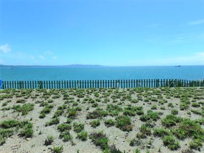 海 前 売 地 館山市船形 330.00㎡(99.82坪) 3000 サムネイル画像1