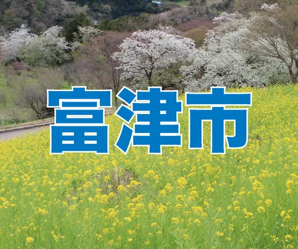 富津市バナー