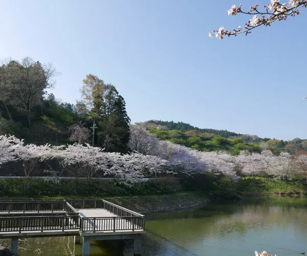 鋸南町