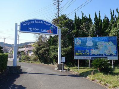 売 地 館山市加賀名 466.56㎡(141.13坪) 300万円 サムネイル画像2