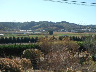 売古民家 館山市竹原(たけわら) 5DK+居住用蔵 一時中断 サムネイル画像2