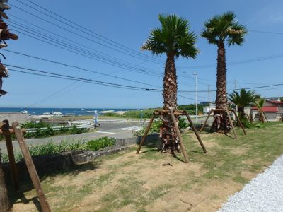 海前売古民家 館山市西川名 5DK+土間倉庫 ご成約済 サムネイル画像2