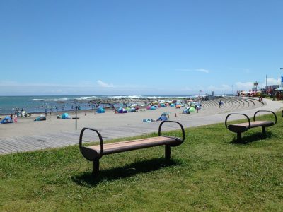 海 浜 売 地 南房総市白浜町白浜 226.45㎡(68.50坪) 548万円 サムネイル画像2