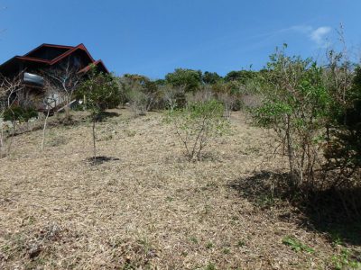 海 遠 望 売 地 館山市藤原 365.02㎡(110.41坪) 600万円 サムネイル画像1