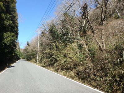 広大売山林 君津市清和市場 104535㎡(31621.83坪) ご成約済 サムネイル画像2