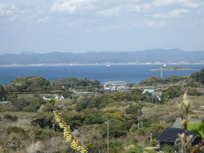 海一望売地 館山市加賀名 321.08㎡(97.12坪) 1228万円 サムネイル画像2