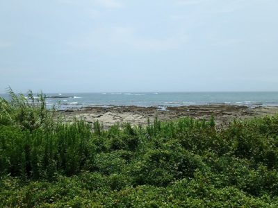 海 前 売 地 南房総市白浜町白浜 598.74㎡(181.11坪) 1480万円 サムネイル画像2
