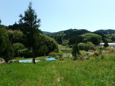売 地 鴨川市平塚 3100.00㎡(937.75坪) 936万円 サムネイル画像2
