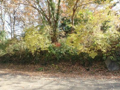 山林付売地 君津市根本/君津市長石 2358㎡(713.29坪) 2500万円 サムネイル画像2
