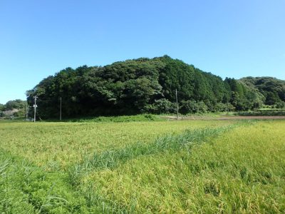 売山林 南房総市沓見 5176㎡（1565.74坪） 765 サムネイル画像1