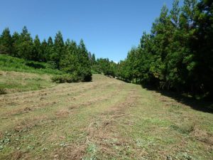 千葉県鴨川市の売地　鴨川市の広い土地　南総ユニオン株式会社　自然あふれる５２９坪平坦地