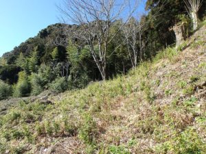 千葉県鴨川市二子の売地 海遠望の売地 南総ユニオン株式会社 地勢を上手く生かしたいです