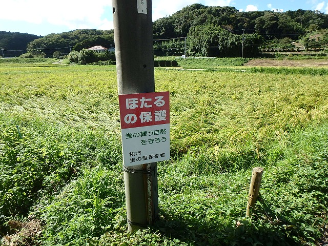 売山林　南房総市沓見　5176㎡（1565.74坪）　765万円 サムネイル画像2