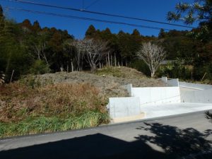 千葉県鴨川市二子の売地 海遠望の売地 南総ユニオン株式会社 自然にあふれてますね