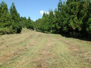 千葉県鴨川市の売地　鴨川市の広い土地　南総ユニオン株式会社　果樹や菜園はもちろん