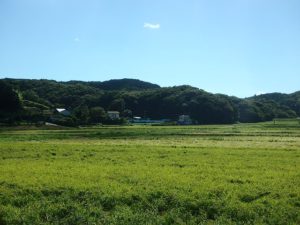千葉県南房総市沓見の不動産　南房総市の山林　南総ユニオン株式会社　物件を遠望します