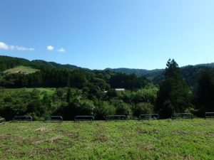 千葉県鴨川市の売地　鴨川市の広い土地　南総ユニオン株式会社　長閑な環境で心が安らぐ