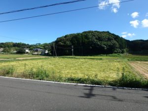 千葉県南房総市沓見の不動産　南房総市の山林　南総ユニオン株式会社　プライベートマウンテンに