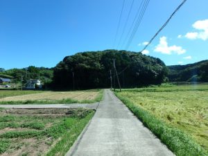 千葉県南房総市沓見の不動産　南房総市の山林　南総ユニオン株式会社　素晴らしい環境ですね