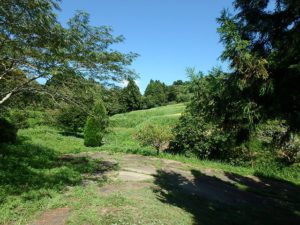 千葉県鴨川市の売地　鴨川市の広い土地　南総ユニオン株式会社　物件の間口です
