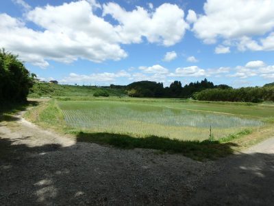 売 地 富津市押切 588㎡(177.87坪) 350万円 サムネイル画像2