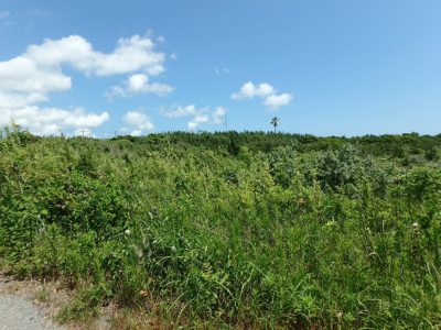 海 浜 売 地 館山市藤原 7572㎡(2290.53坪) 5800万円 サムネイル画像1