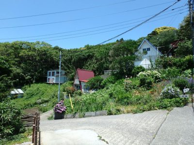 海 望 売 地 南房総市千倉町川合 422㎡(127.65坪) 68万円 サムネイル画像1