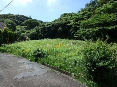 売地 館山市神余(かなまり) 2036㎡(615.89坪) 650万円 サムネイル画像2