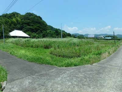 古民家付売地 南房総市丸本郷 9743.20㎡(2947.31坪) ご成約済 サムネイル画像2