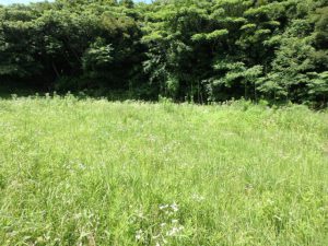 千葉県館山市神余の土地　南房総の物件情報　館山の別荘地　ログハウス用地　南総ユニオン株式会社　薪ストーブ付き別荘がイイね