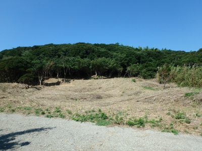 海浜売山林 富津市小久保 10942㎡(3309.95坪) 2800万円 サムネイル画像1