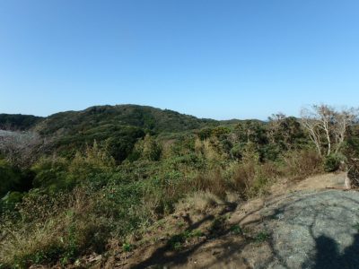 売地 館山市岡田 398㎡(120.39坪) 580万円 サムネイル画像2