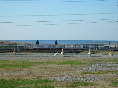 海望広大売地 館山市佐野 9583㎡(2898.85坪) 8080万円 サムネイル画像1