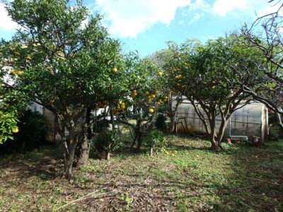 広庭付売家 南房総市千倉町北朝夷 3DK+広縁 950万円 サムネイル画像2