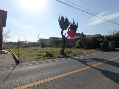 売地 千葉県南房総市本織 380.14㎡(114.99坪) ご商談中 サムネイル画像2