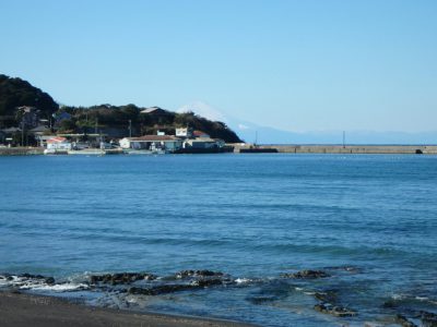 海浜売家 館山市波左間 1DK ご成約済 サムネイル画像2