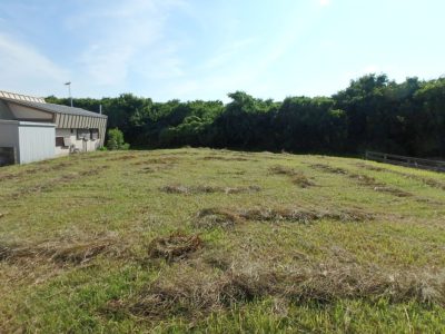 海浜売地 館山市犬石 315.98㎡(95.58坪) 380万円 サムネイル画像1