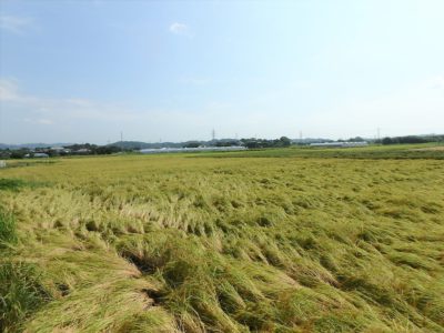 売家 館山市正木 4SLDK ご成約済 サムネイル画像2