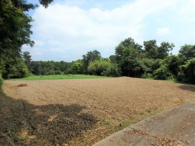 売地 南房総市本織 504.07㎡(152.48坪) 280万円 サムネイル画像2