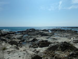 千葉県鴨川市江見吉浦の不動産　中古住宅　海そばの物件　海までわずか２０ｍ