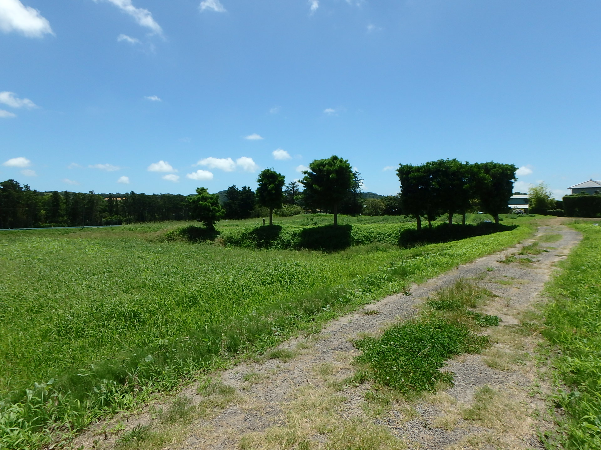 千葉県南房総市千代の不動産、旧三芳村の土地、広大な土地、田舎暮らし