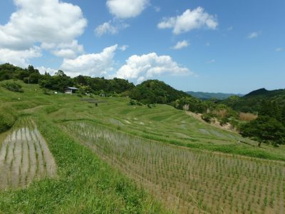 ビオトープ付売山小屋 鴨川市平塚 1LDK ご成約済 サムネイル画像2