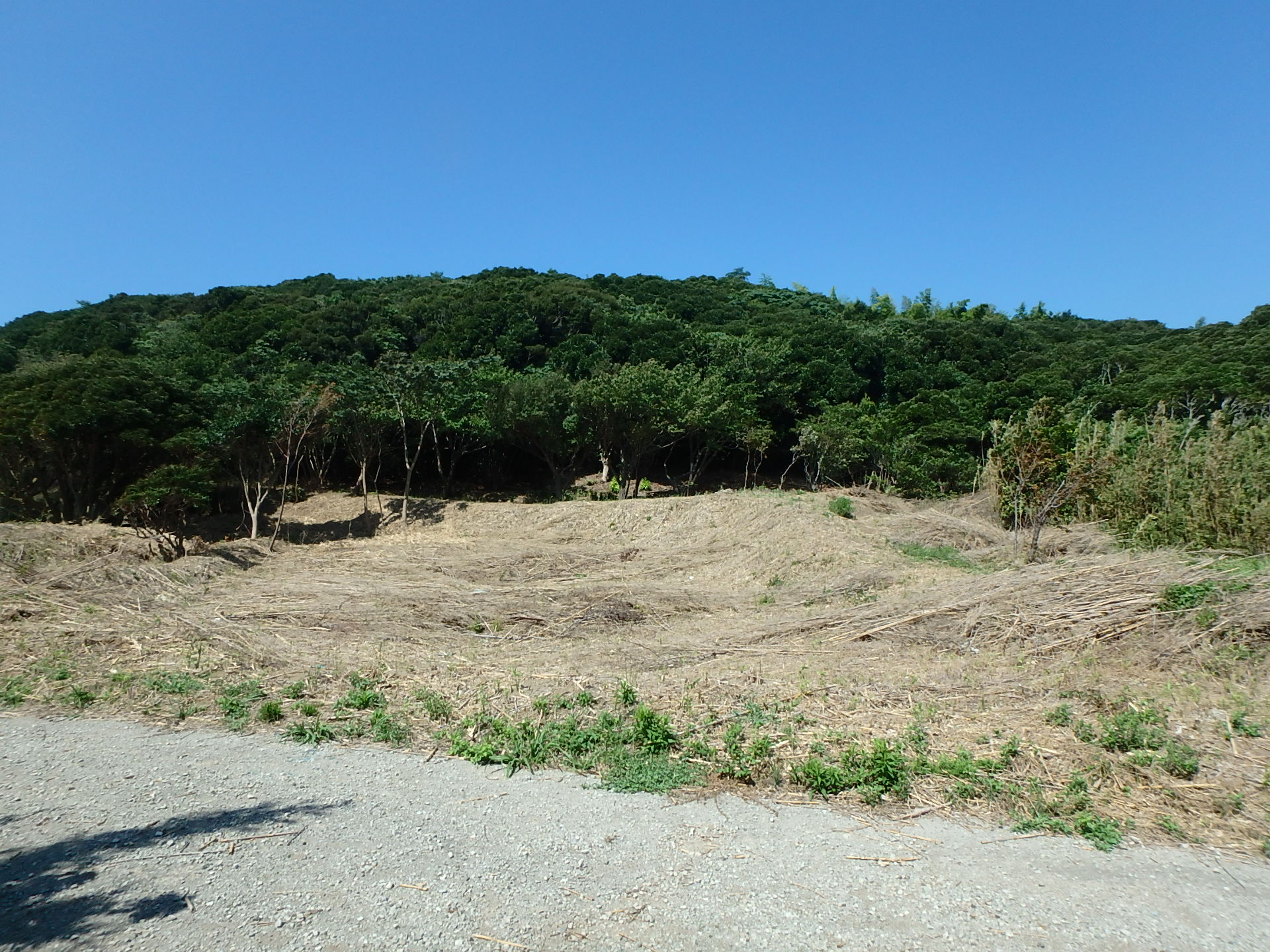 千葉県富津市の山林売買、不動産、土地、ご商談中