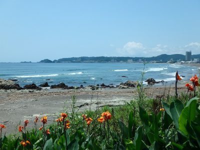 海望売地 鴨川市東町 368.39㎡(111.43坪) ご成約済 サムネイル画像2